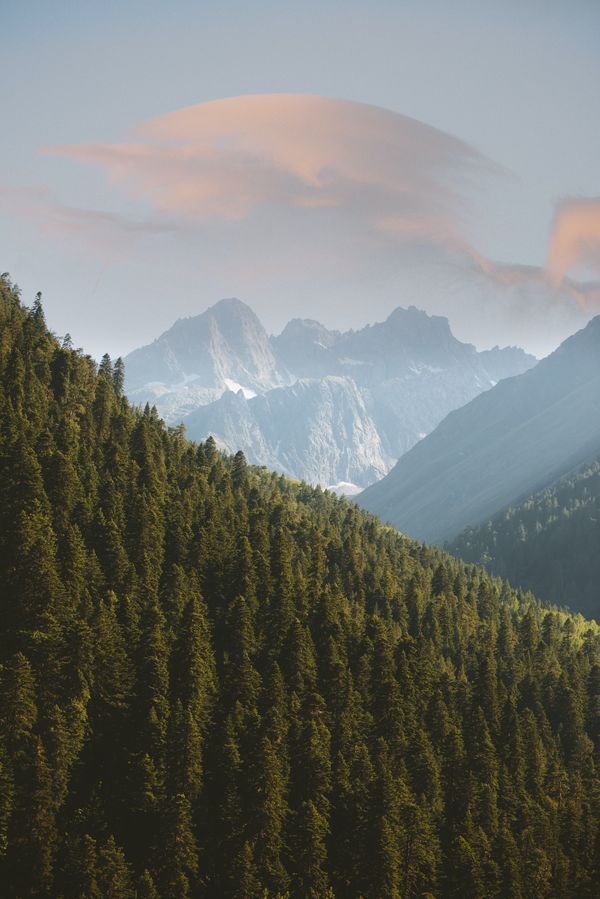 view of a hill filled with trees with a bigger rocky mountian behind it