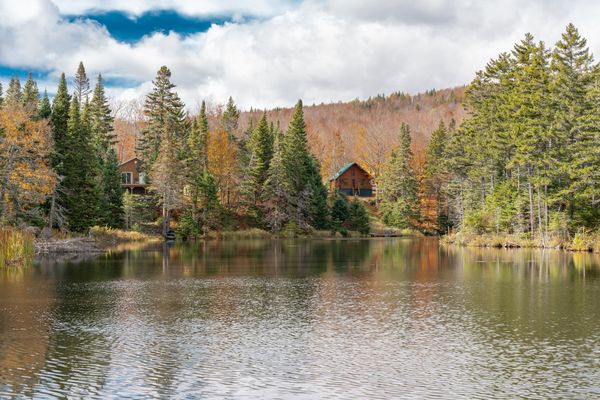 a forest and a lake and a small hut